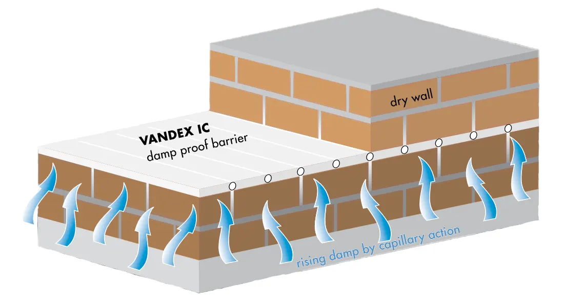 Vandex IC ir kylanti drėgmė